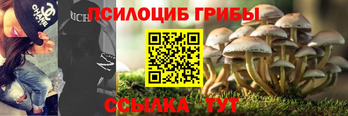 Псилоцибиновые грибы Cubensis  Вход с VPN  Томск 